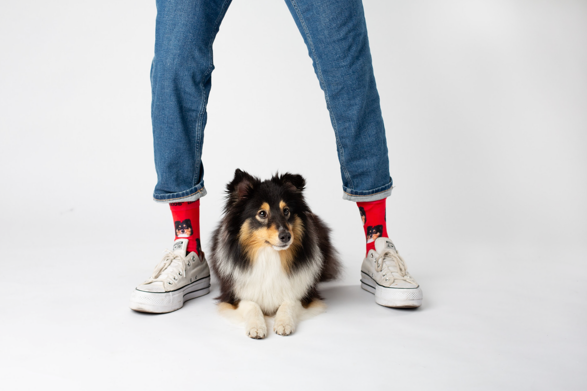 Luna Socks: Die perfekte Geschenkidee für Haustierliebhaber