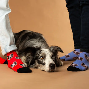 Personalisierte Socken mit einem Foto von einem Hund der Marke Luna Socks