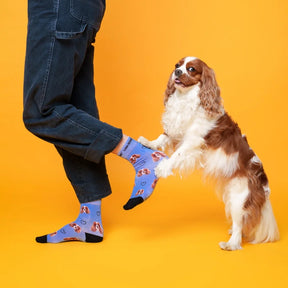 Luna Socks Personalisierte Socken mit Hund 7