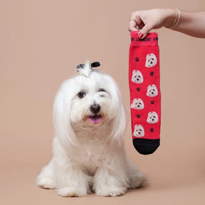 Luna Socks Personalisierte Socken mit Hund 5