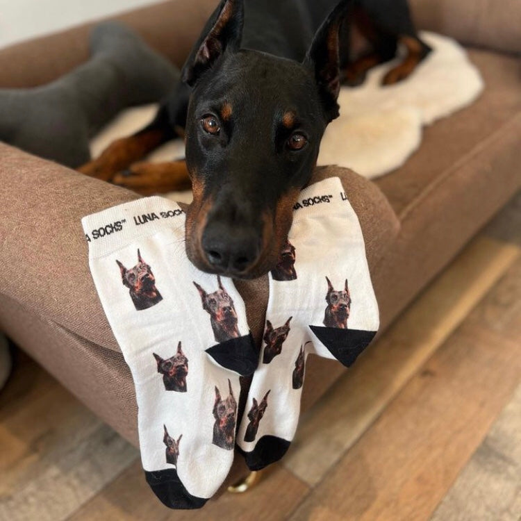 Personalisierte Socken mit deinem Foto und einem Hund auf dem Sofa