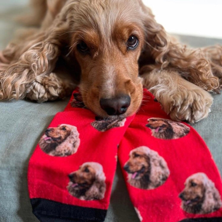 Personalisierte Socken in rot mit deinem Foto