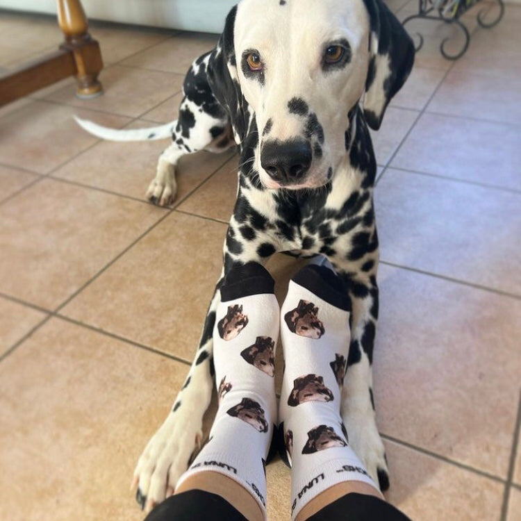Personalisierte Fotosocken mit einem Dalmatiner von Luna Socks
