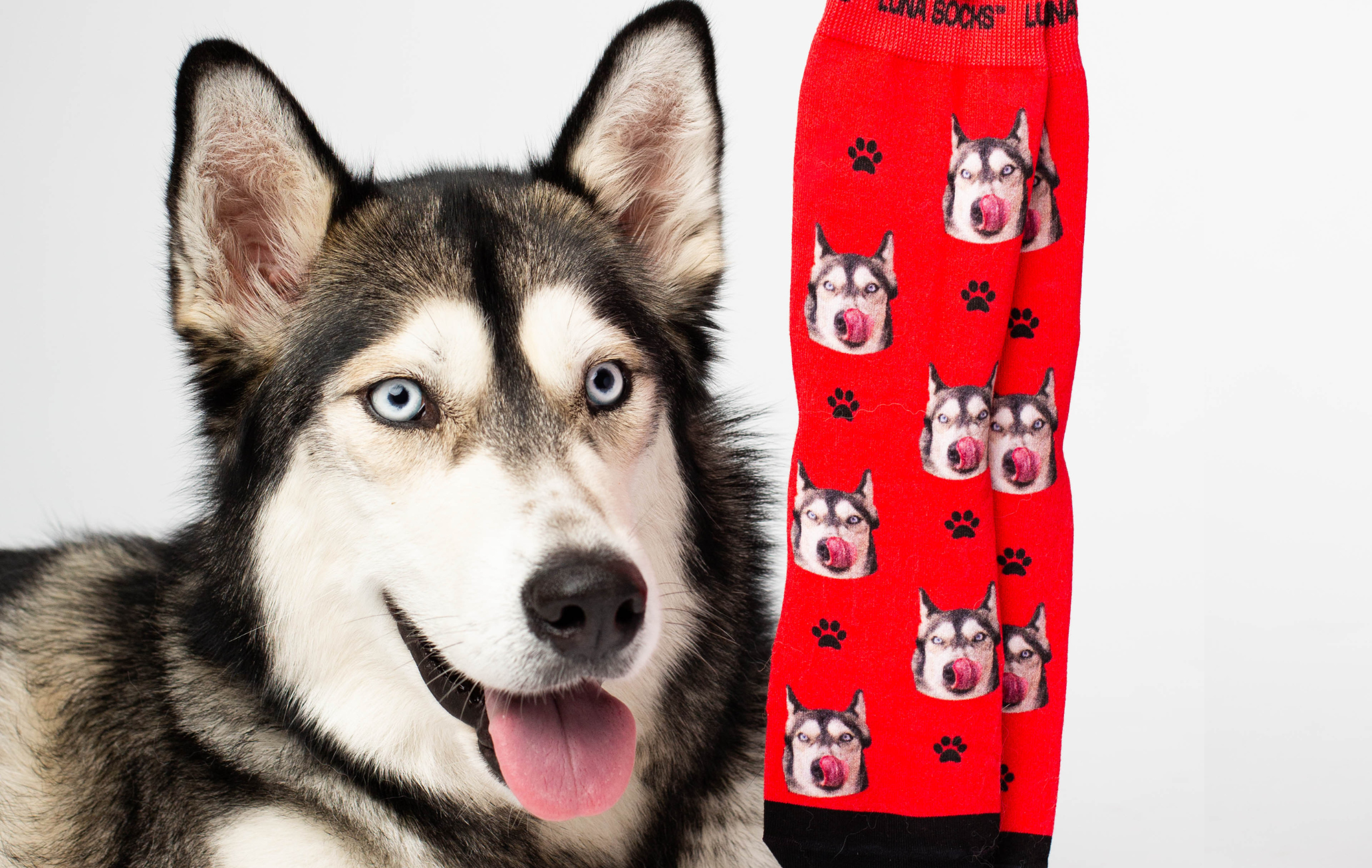 Personalisierte Socken mit deinem Hund